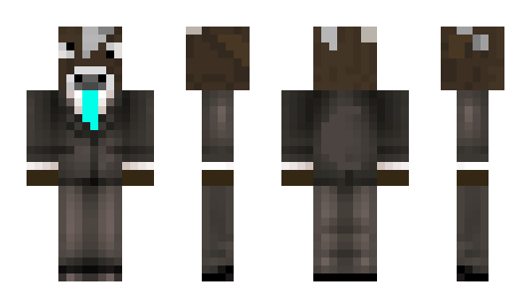 Minecraft skin LOC4L