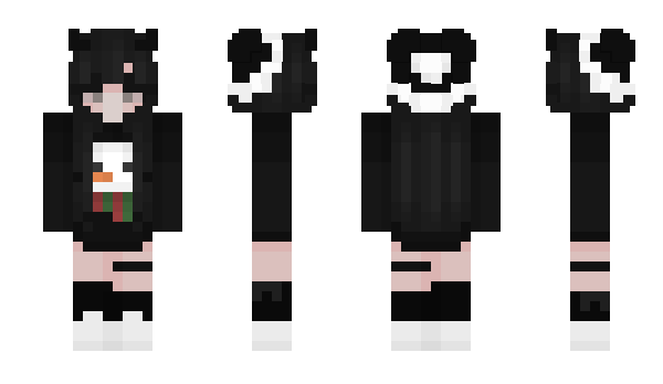 Minecraft skin Asaily