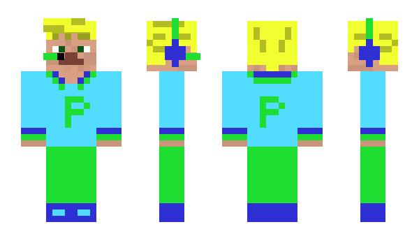 Minecraft skin polemes