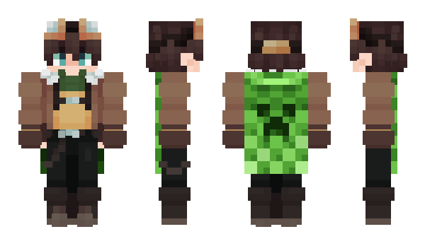 Minecraft skin ReinHR