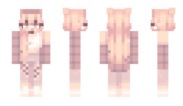 Minecraft skin Akwii