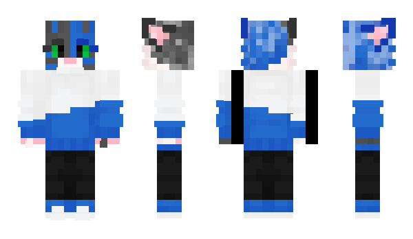 Minecraft skin KatherineAider
