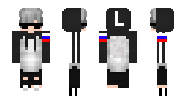 Minecraft skin pm102