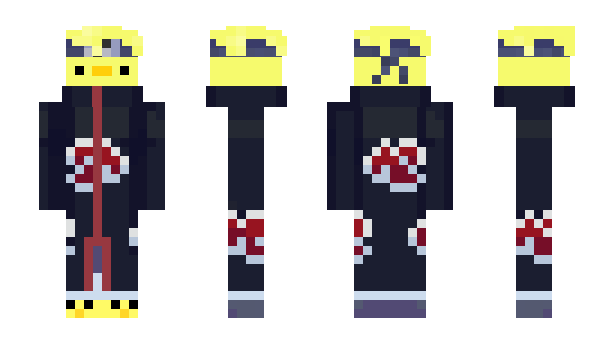 Minecraft skin Patoninja