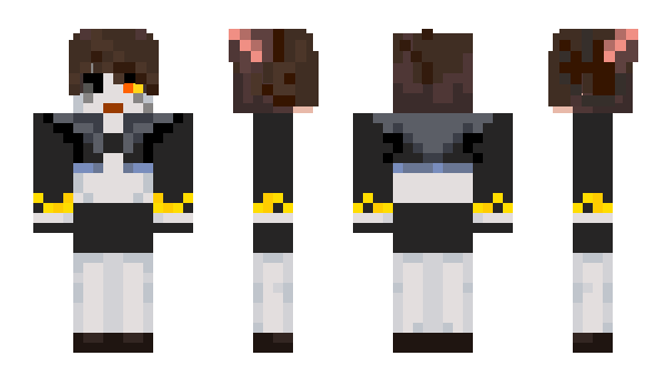 Minecraft skin aknp