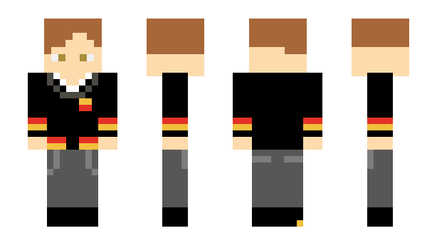 Minecraft skin PerryMine