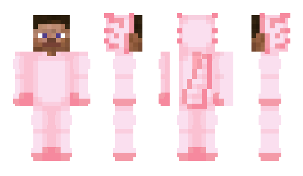 Minecraft skin outsoaring