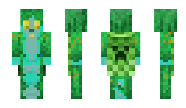 Minecraft skin Disidas