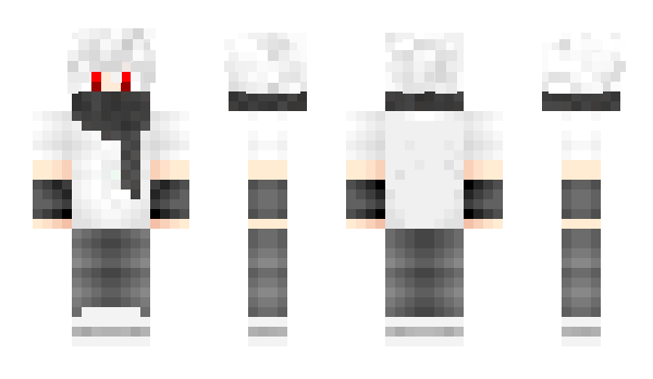 Minecraft skin Safilramax