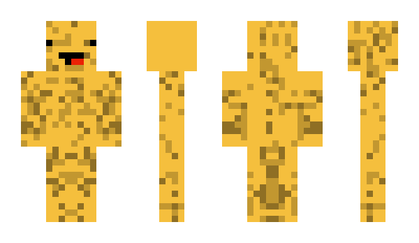 Minecraft skin dsicord