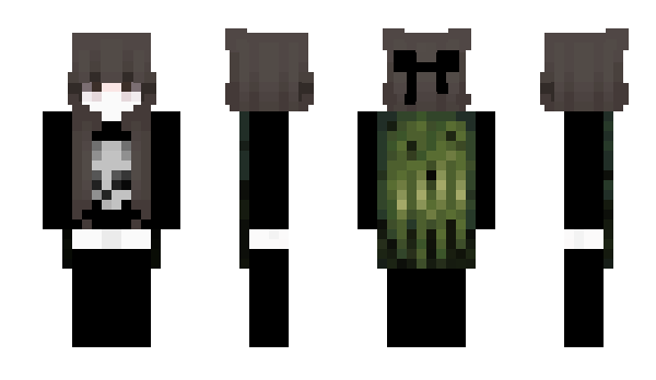 Minecraft skin dreinersha