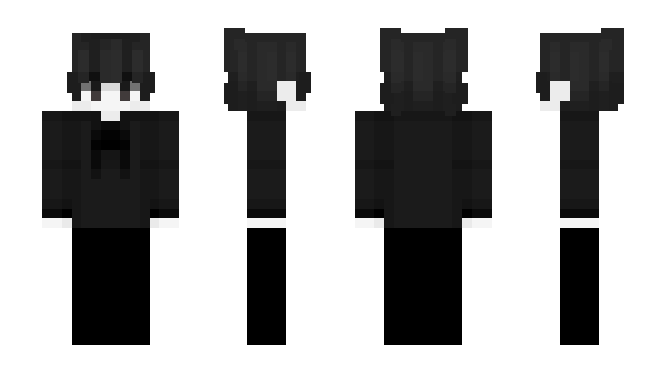 Minecraft skin picis