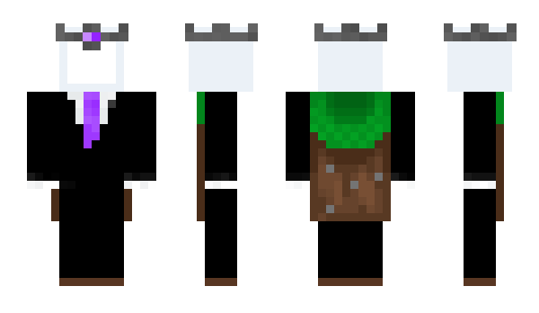 Minecraft скин по нику wrble