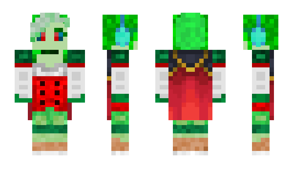 Minecraft skin C1NG