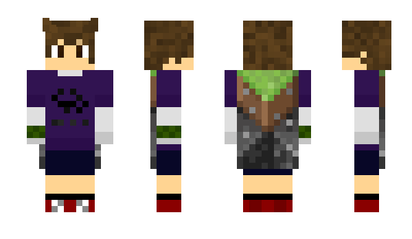 Minecraft skin WUI3