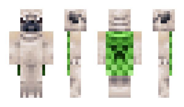 Minecraft skin verbrennt16