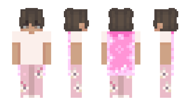 Minecraft skin __ve