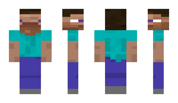 Minecraft skin c960