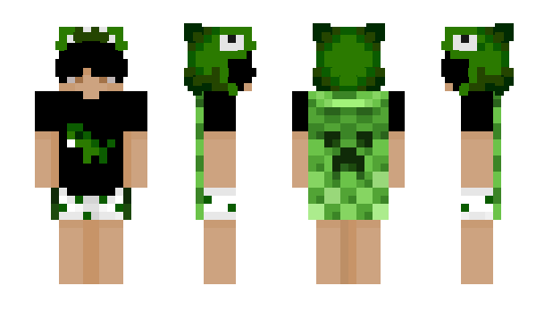 Minecraft skin sorryneziak