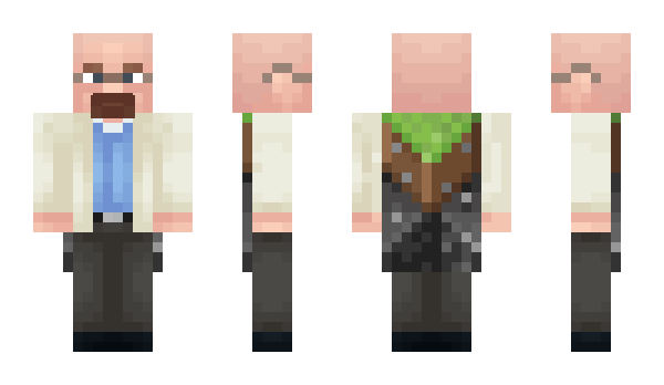 Minecraft skin 1655