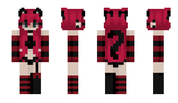 Minecraft skin Echocluster