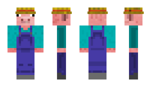 Minecraft skin Hamve