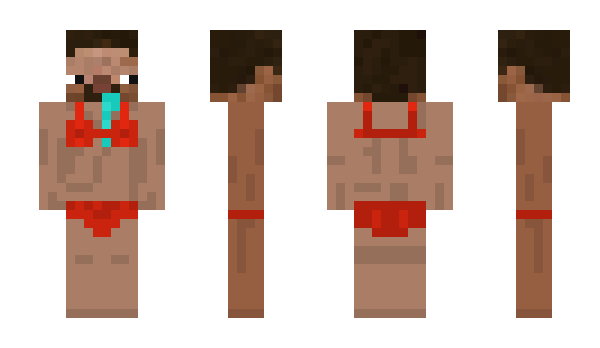 Minecraft skin Biergitt