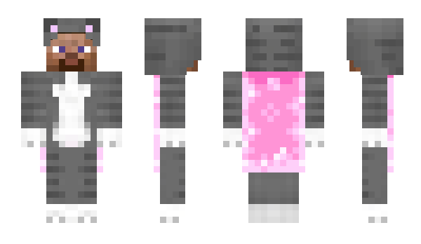 Minecraft skin toletole