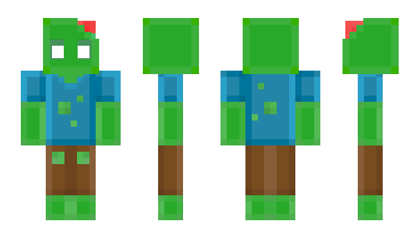 Minecraft skin 1Stin1