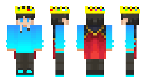 Minecraft skin vhirt