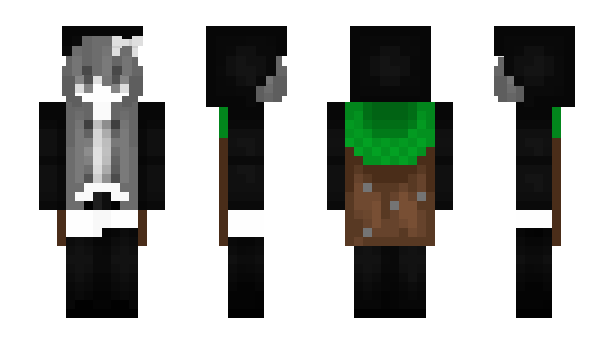 Minecraft skin hapskitten