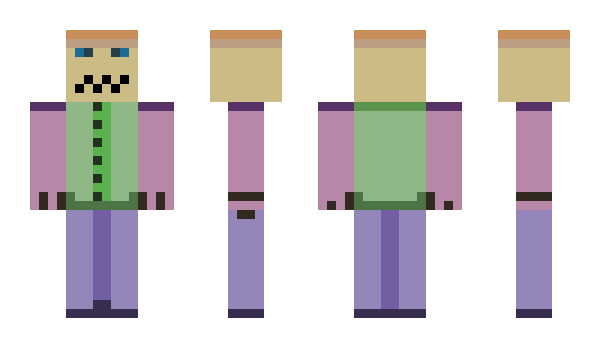 Minecraft skin minestein1