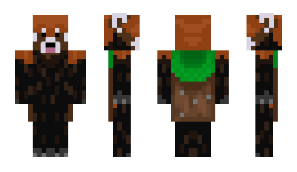 Minecraft skin Common_Hatt