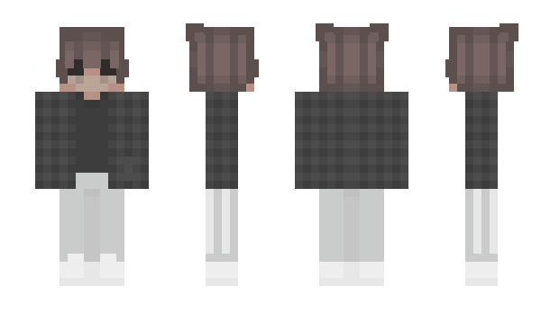 Minecraft skin venimos