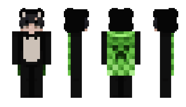 Minecraft skin vzing
