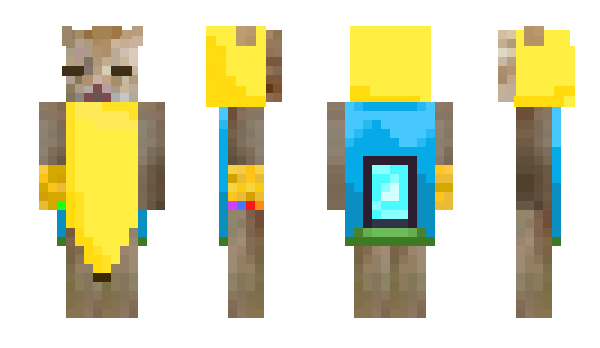 Minecraft skin Jxchh