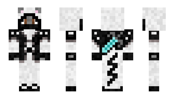 Minecraft skin Dipsel