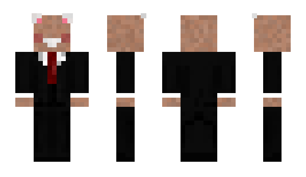 Minecraft skin Skrecina