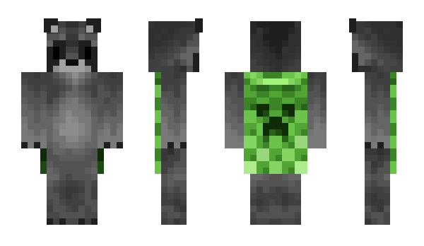 Minecraft skin minvy