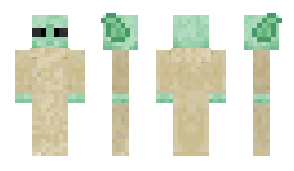 Minecraft skin Zipinq