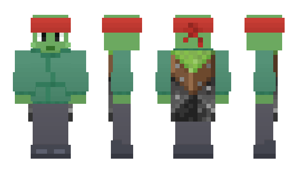 Minecraft скин по нику Littleturtle1358