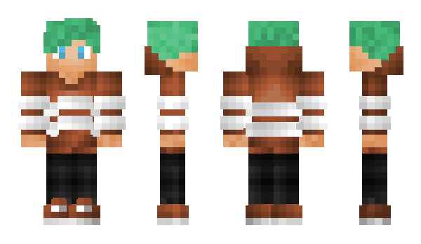 Minecraft skin Acustico