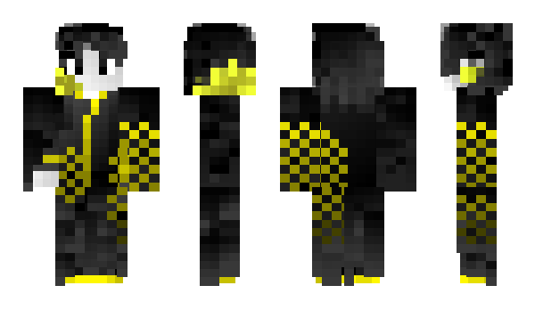 Minecraft skin Nisde