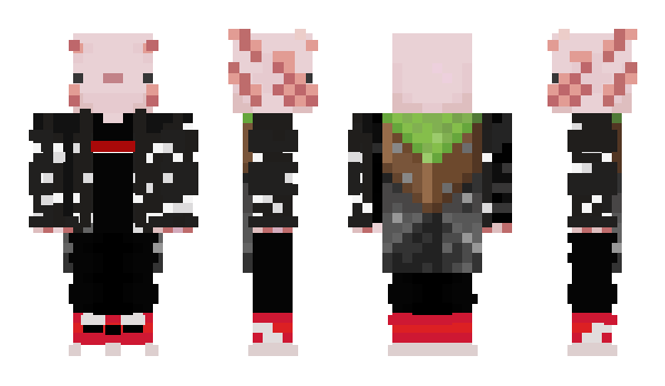 Minecraft skin Axolottl