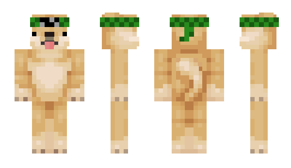 Minecraft skin herobins