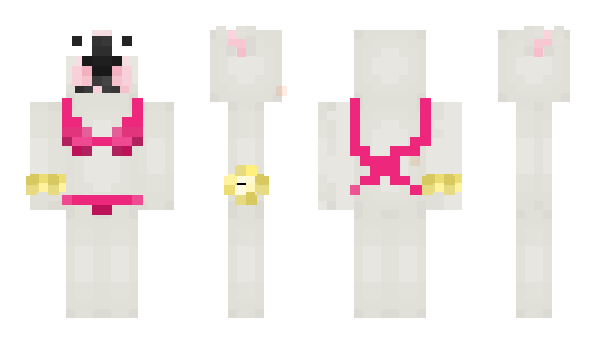 Minecraft skin sangtran