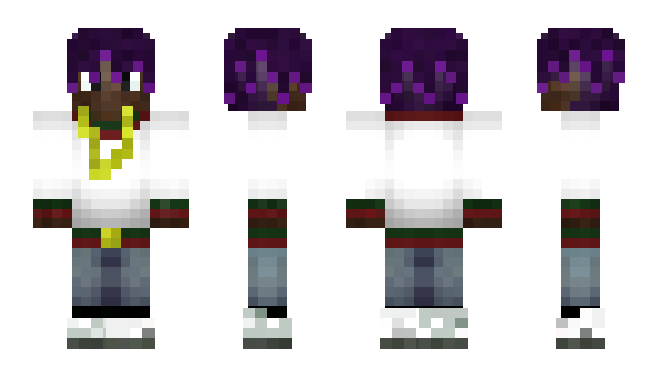 Minecraft skin Collektor