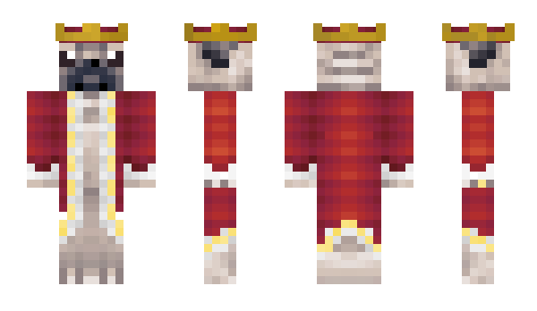 Minecraft skin Leonardx96