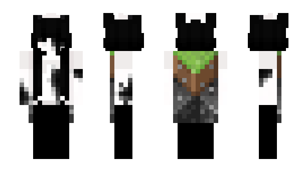 Minecraft skin NotSimple