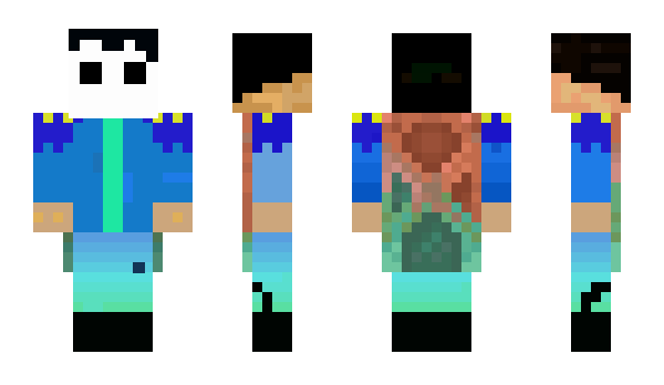 Minecraft скин по нику coincoin138